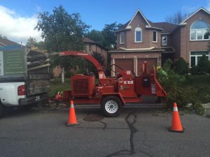 Tree Removal Service New Tecumseth ON