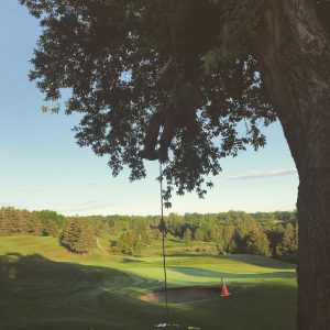 golf course tree care sequoia treescape york region arborist