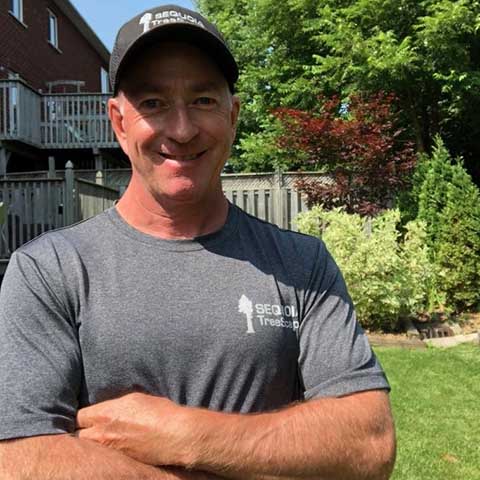 Sequoia TreeScape Tree Service photo 3