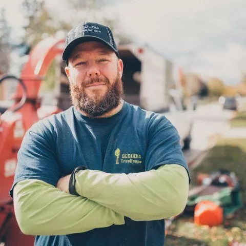 Sequoia TreeScape Tree Service photo 2