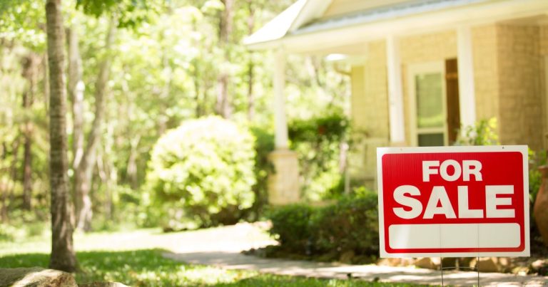 new homeowner tree assessment bough a home trees looked at home inspection